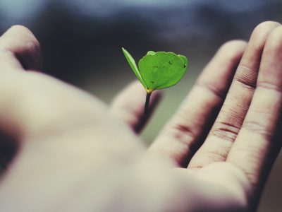 growth